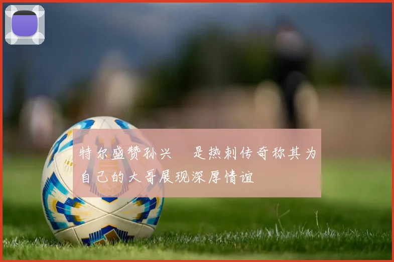 特尔盛赞孙兴慜是热刺传奇称其为自己的大哥展现深厚情谊