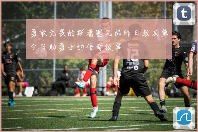 勇敢无畏的斯潘塞兄弟昨日救灰熊今日助勇士的传奇故事