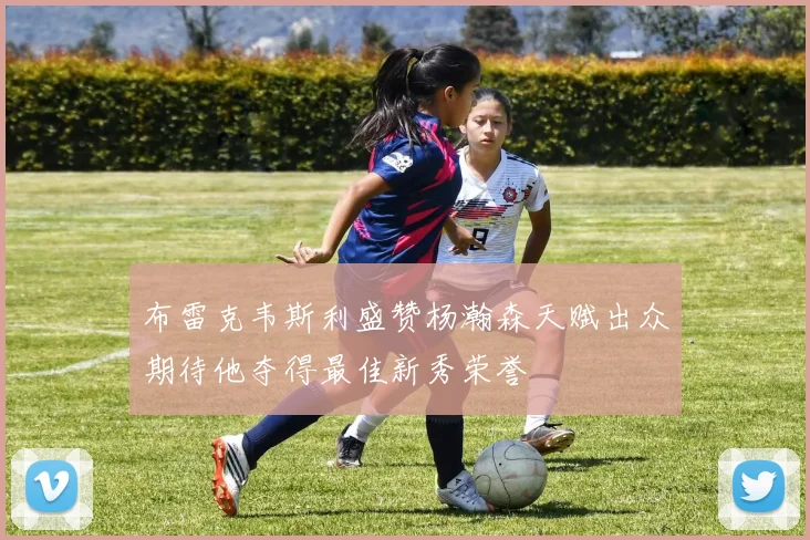 布雷克韦斯利盛赞杨瀚森天赋出众期待他夺得最佳新秀荣誉
