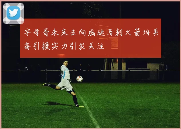 字母哥未来去向成谜马刺火箭均具备引援实力引发关注