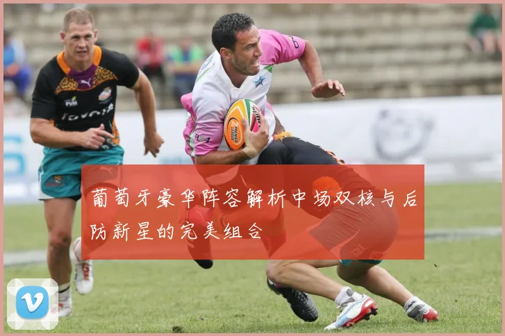 葡萄牙豪华阵容解析中场双核与后防新星的完美组合