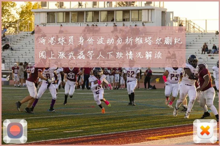 海港球员身价波动分析维塔尔蒯纪闻上涨武磊等人下跌情况解读