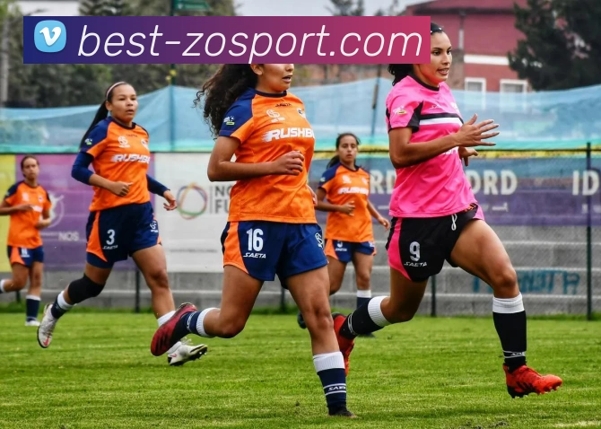 西部球队季后赛概率分析雷霆马刺稳居100湖人勇士紧随其后